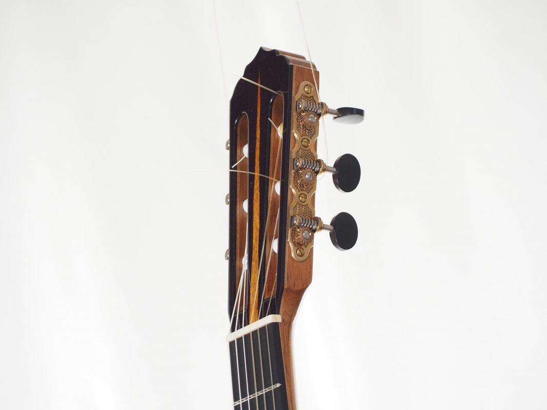 Classical concert guitar