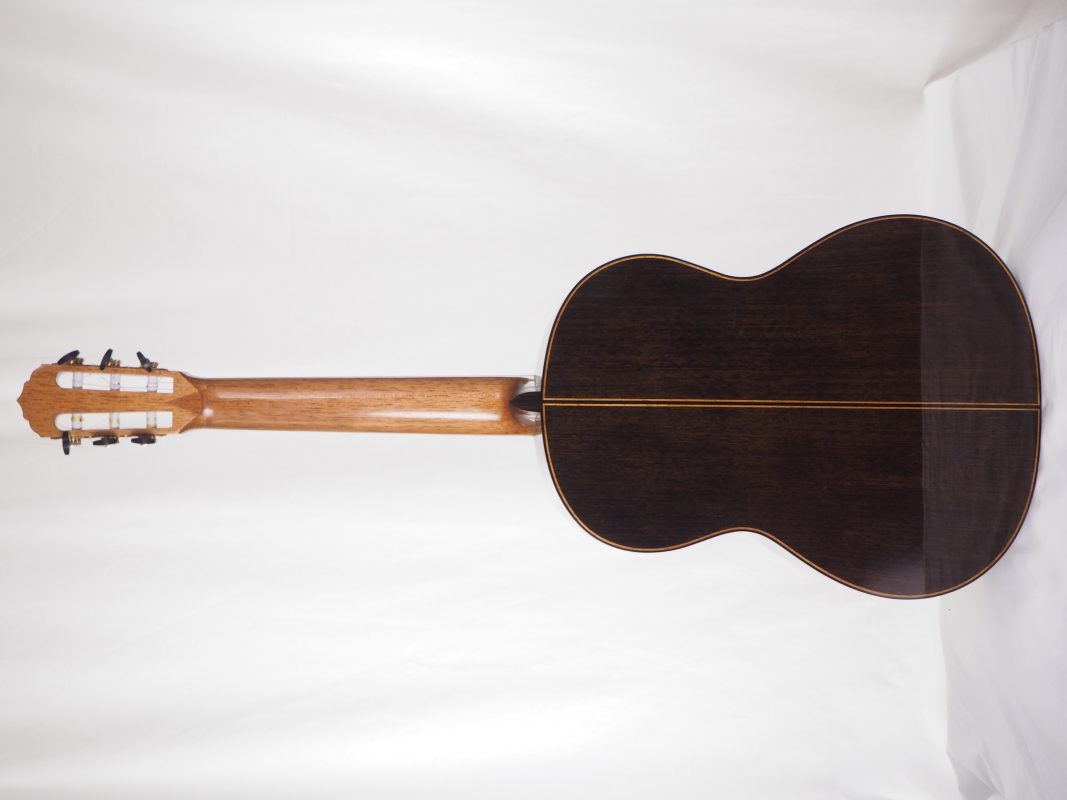 Classical concert guitar