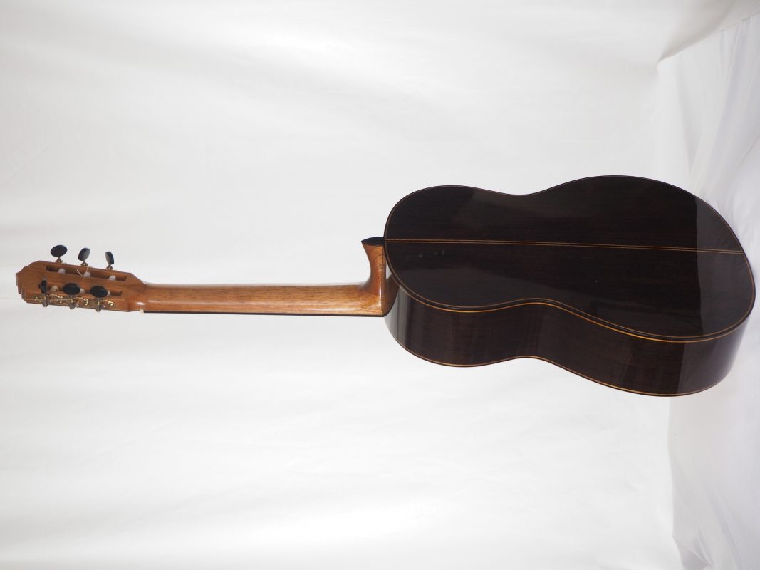 Classical concert guitar