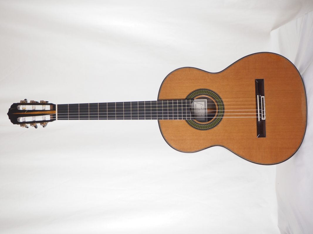 Classical concert guitar