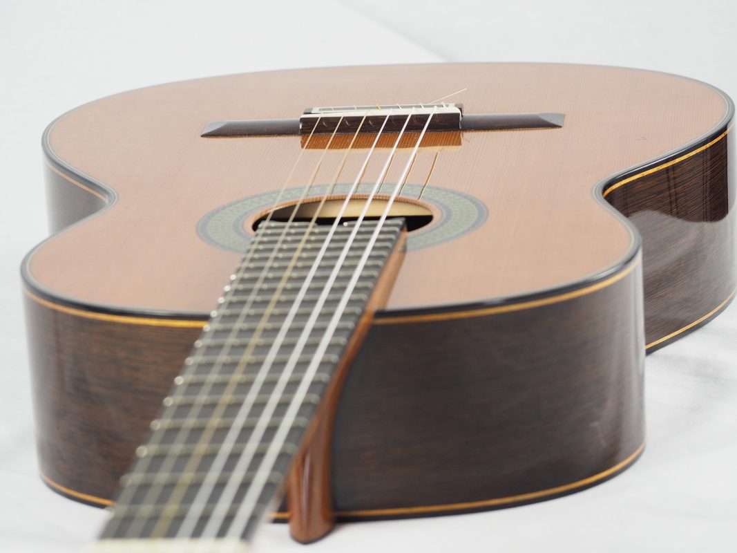 Classical concert guitar