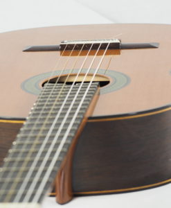 classical guitar du luthier reza safavian