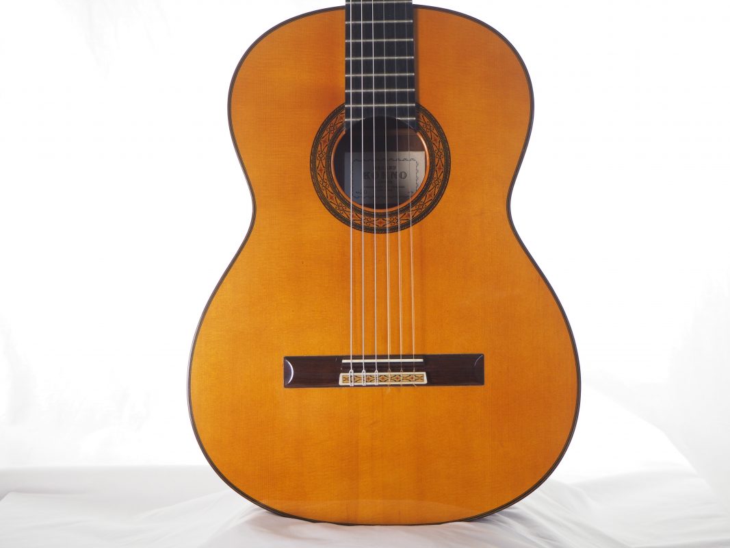 Classical concert guitar