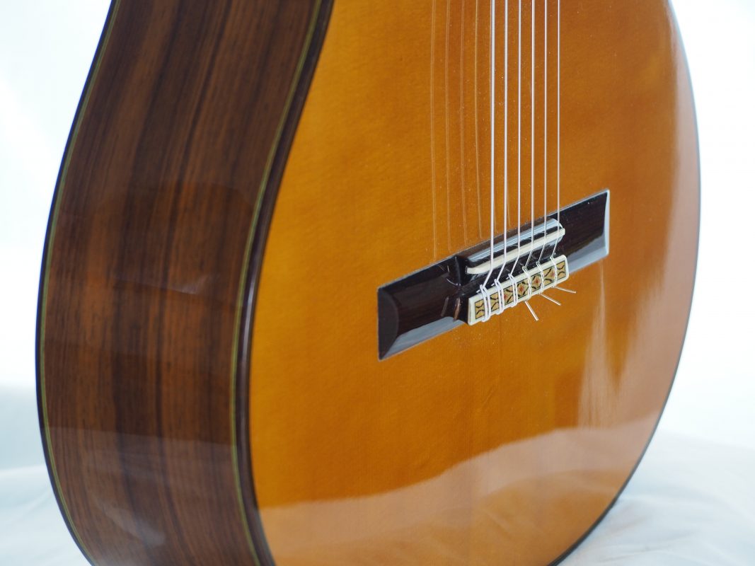 Classical concert guitar