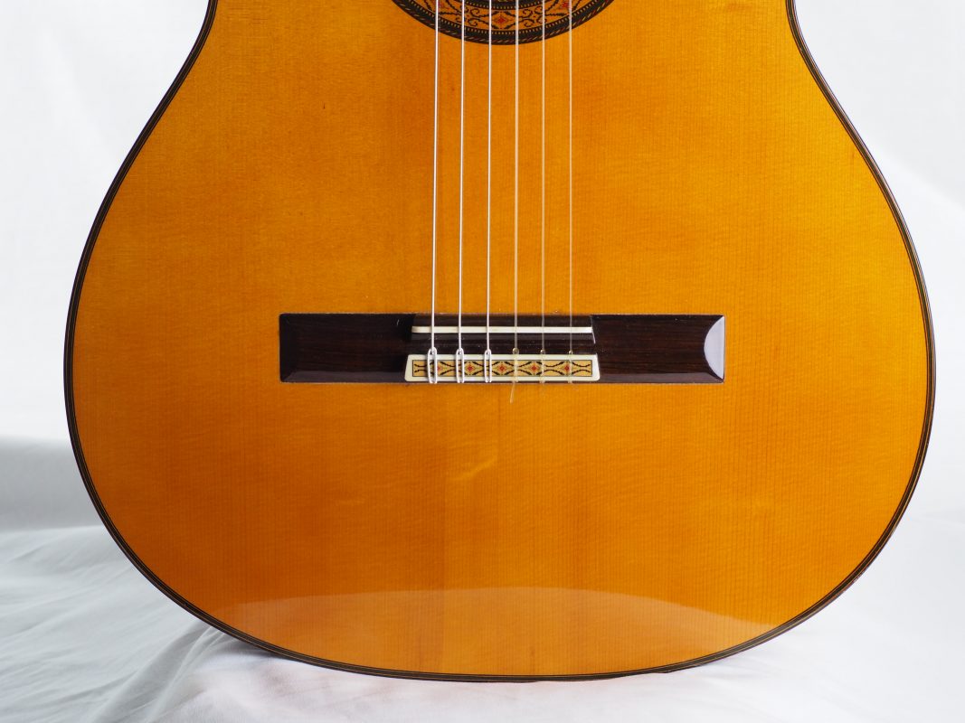 Classical concert guitar