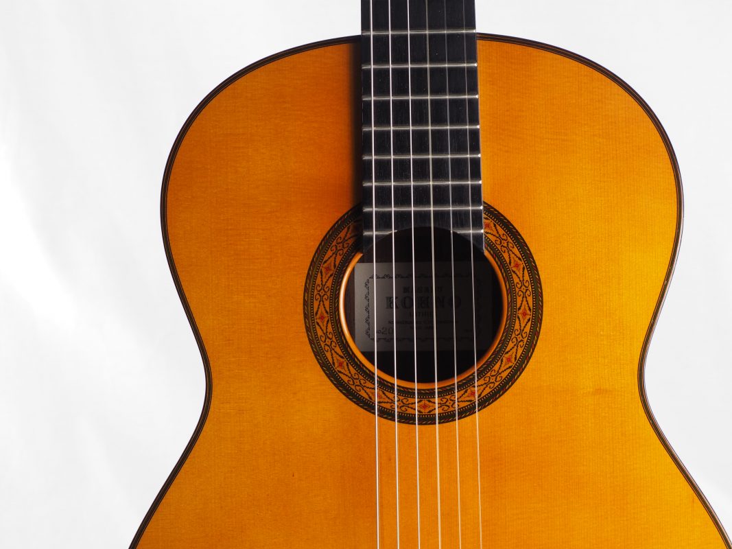 Classical concert guitar