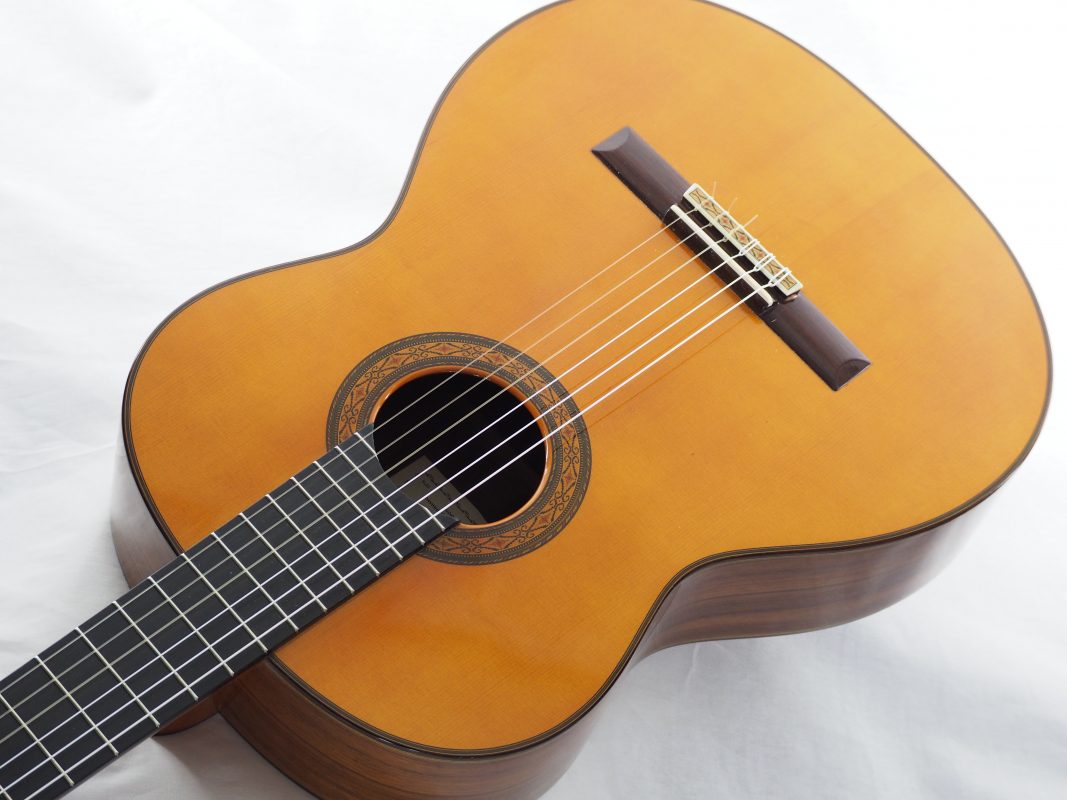 Classical concert guitar