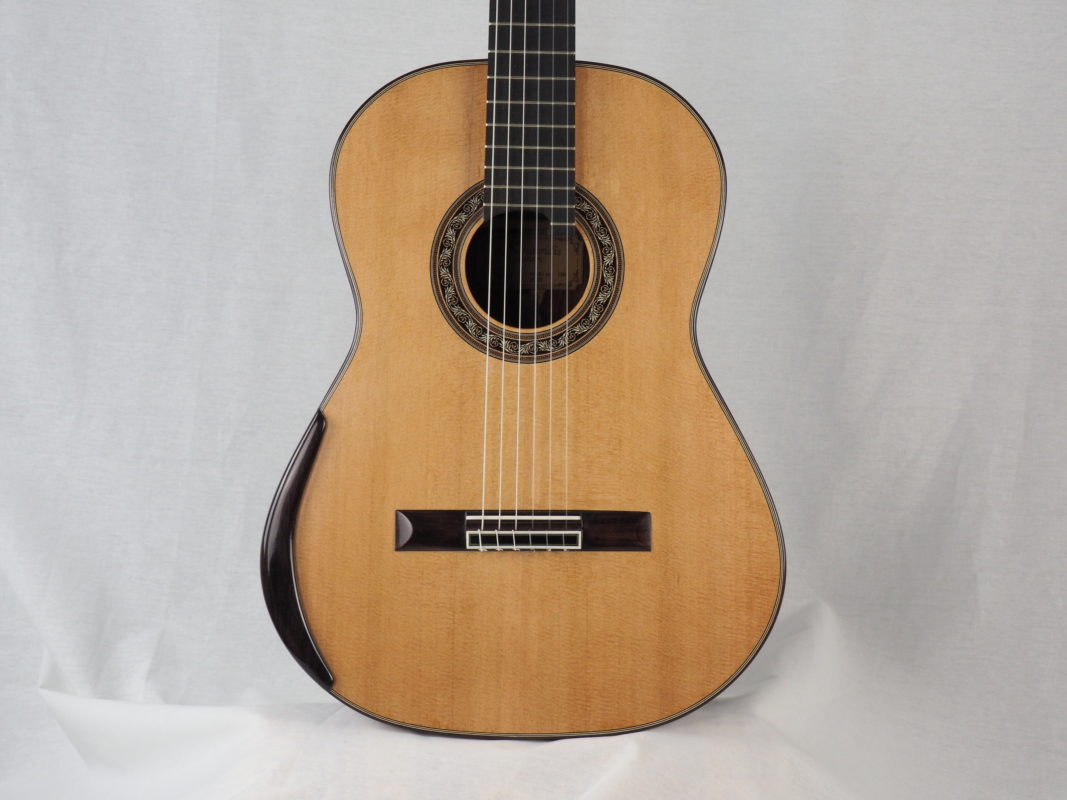 Classical concert guitar