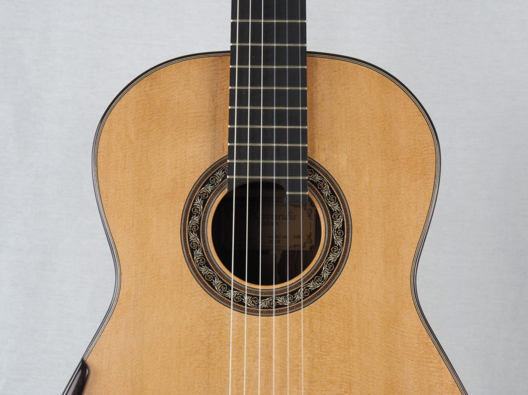 Classical concert guitar