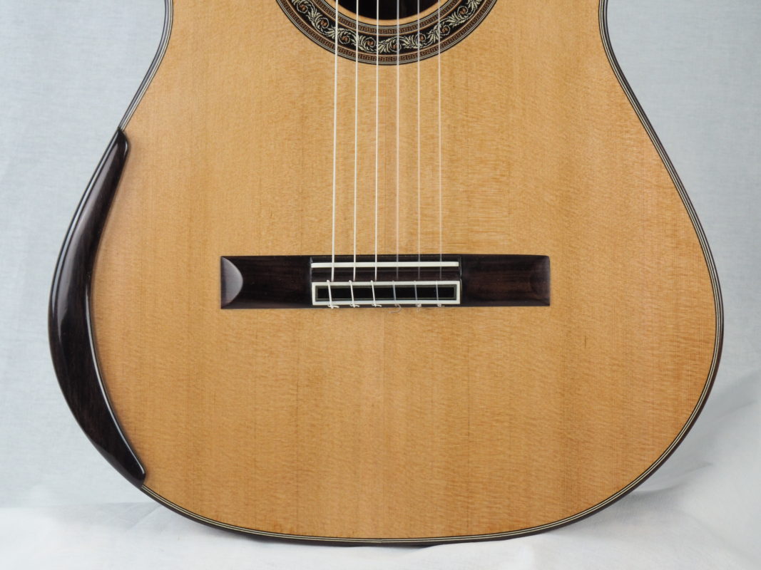 Classical concert guitar
