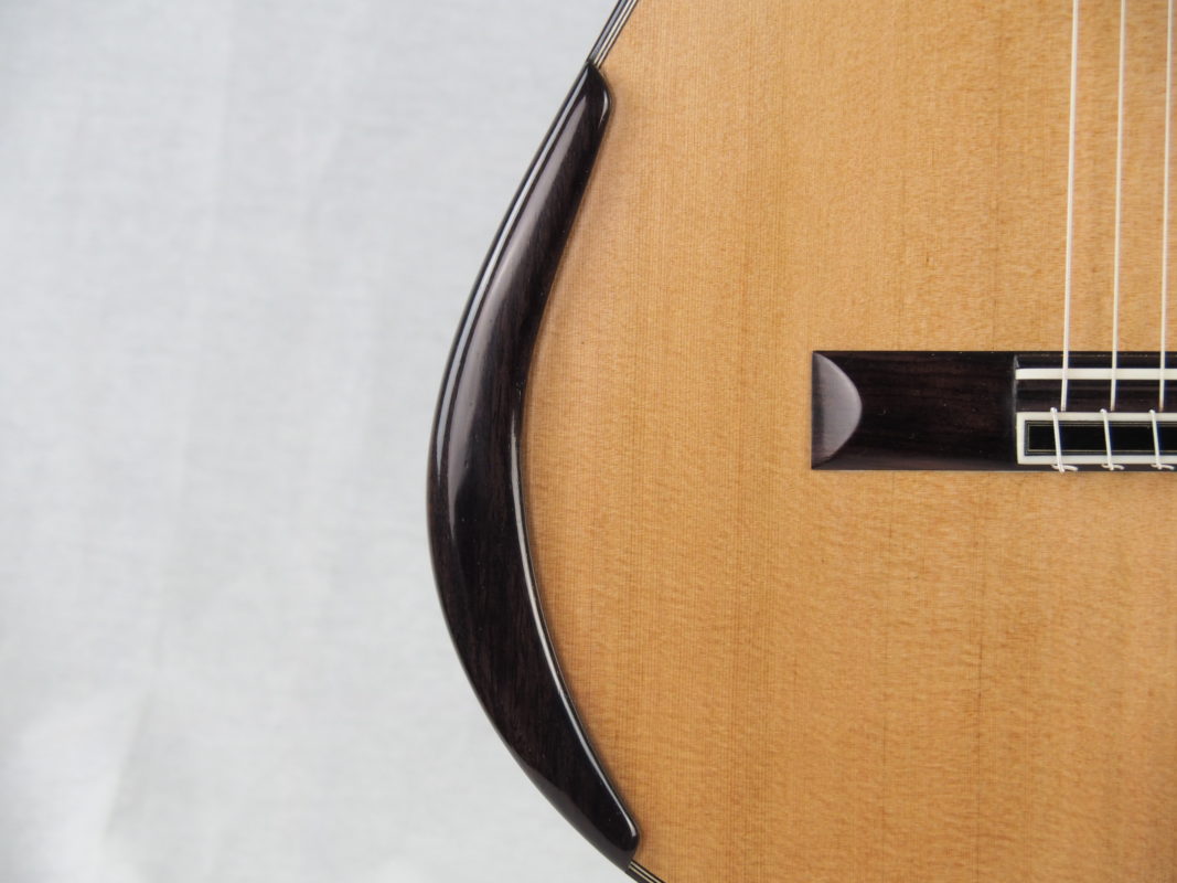 Classical concert guitar