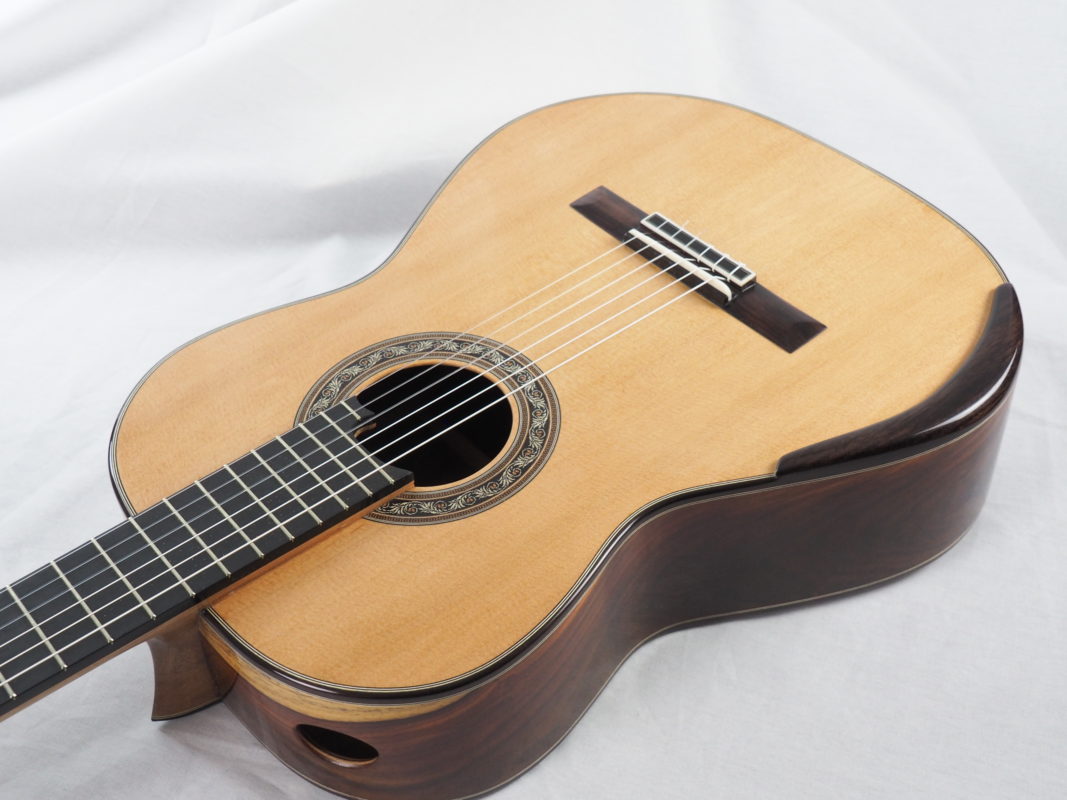 Classical concert guitar
