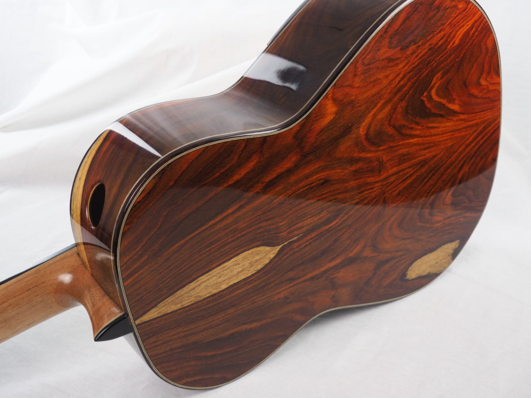 Classical concert guitar