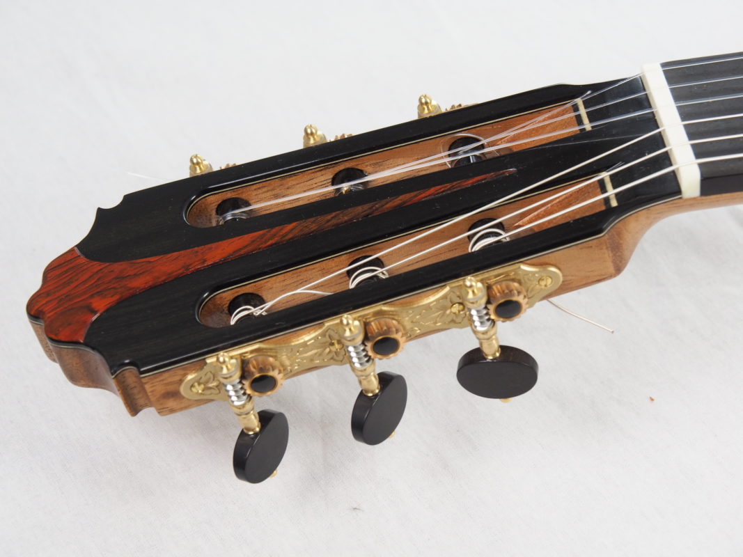 Classical concert guitar