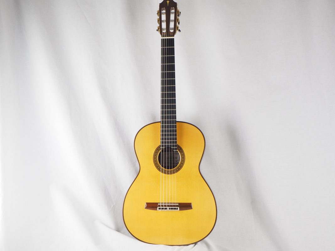 Classical concert guitar