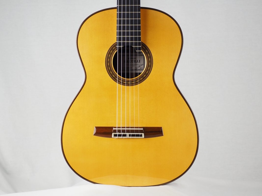 Classical concert guitar