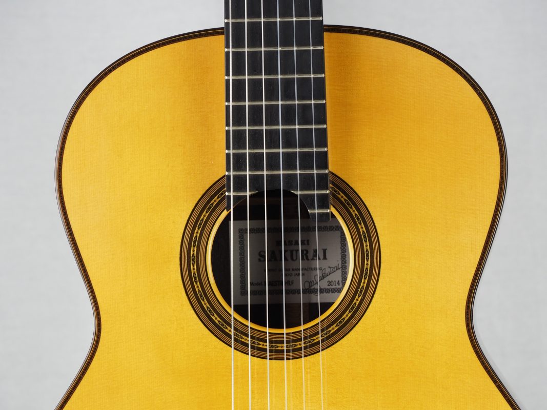 Classical concert guitar