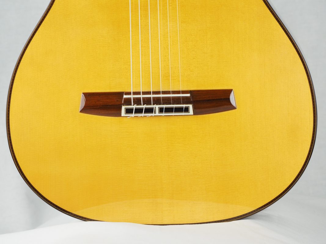 Classical concert guitar