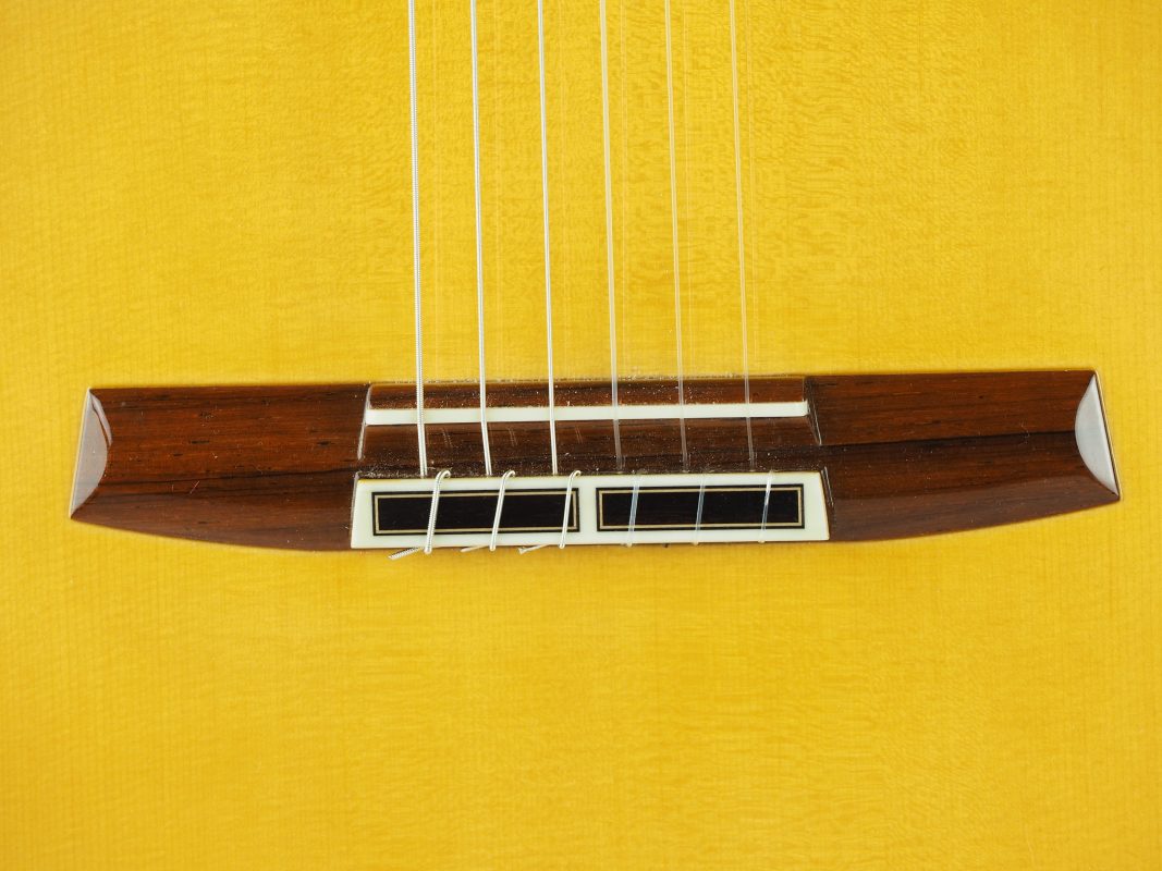 Classical concert guitar