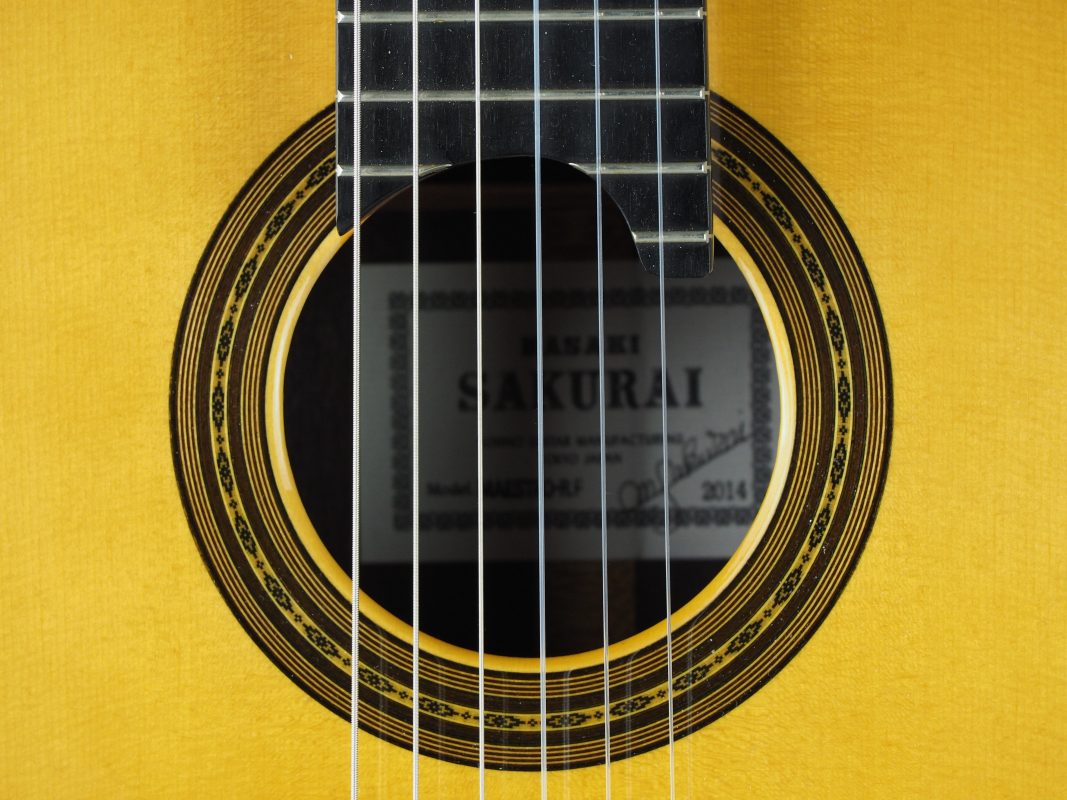 Classical concert guitar