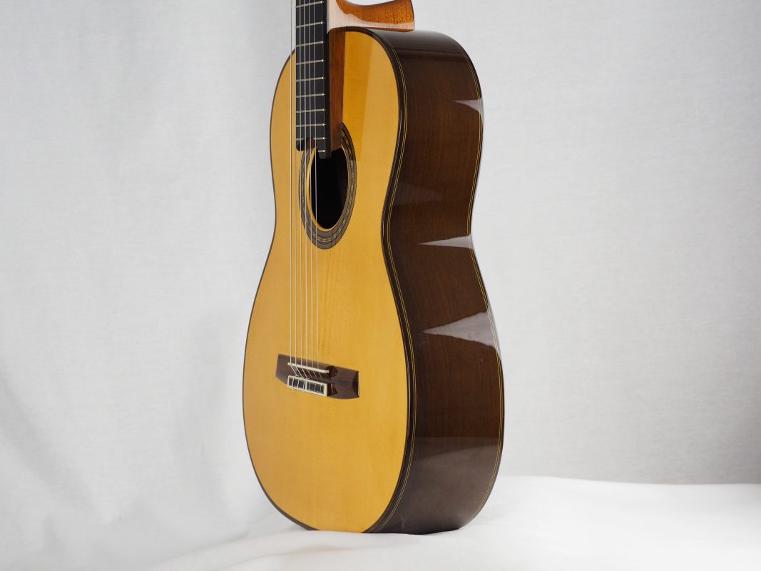 Classical concert guitar