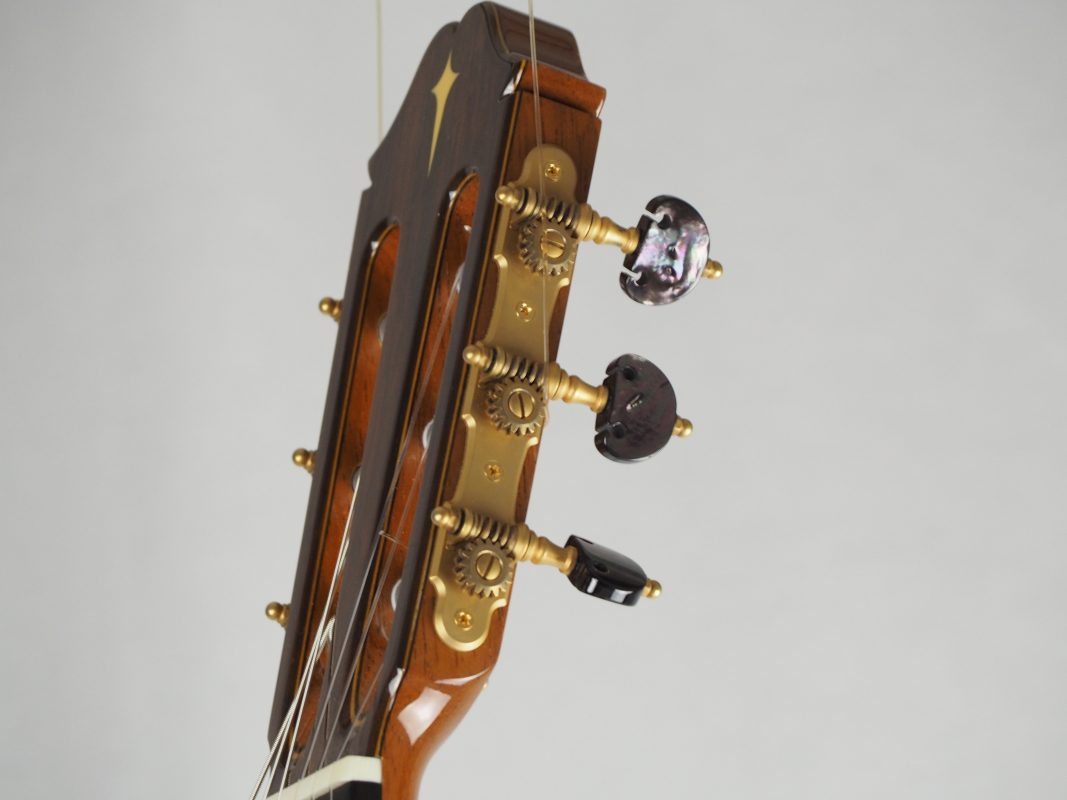 Classical concert guitar