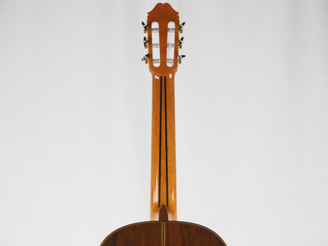 Classical concert guitar