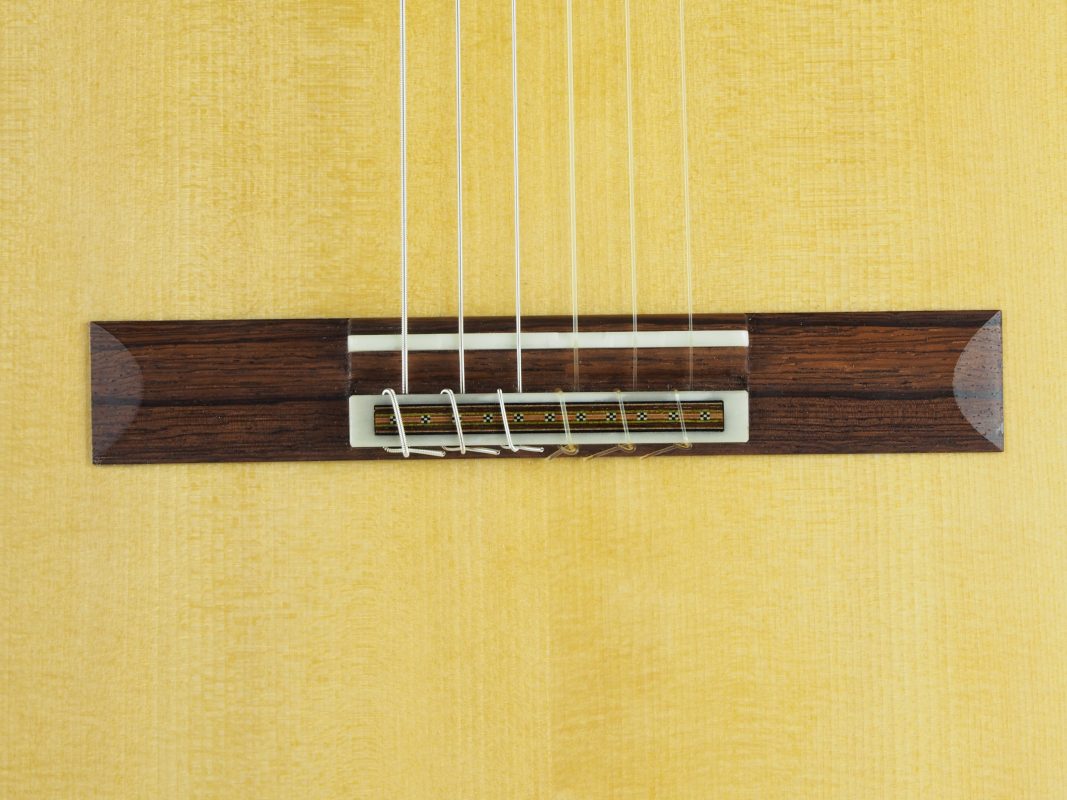 Classical concert guitar