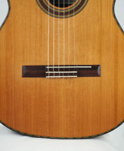 Giannis Palaiodimopoulos classical guitar 17PAL254-09
