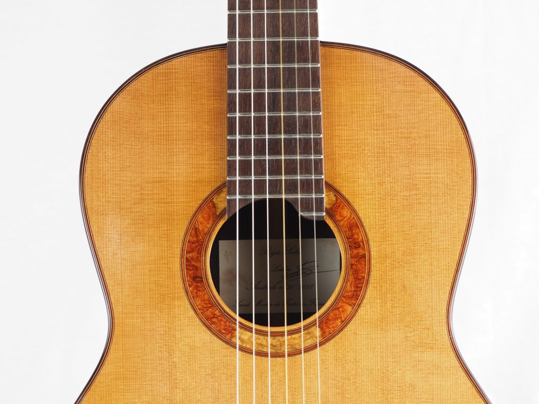 Classical concert guitar