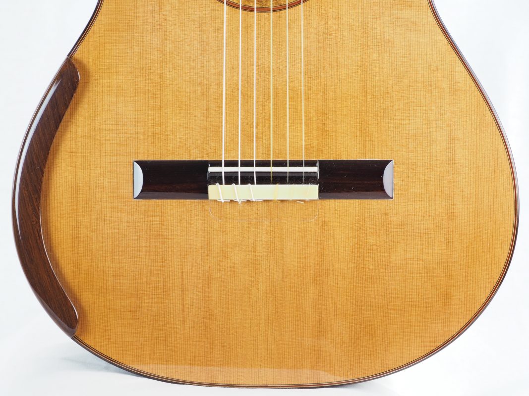 Classical concert guitar