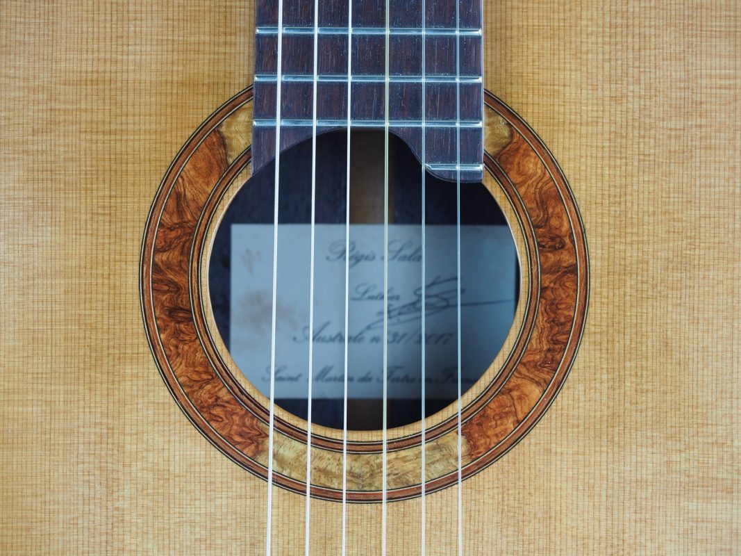 Classical concert guitar