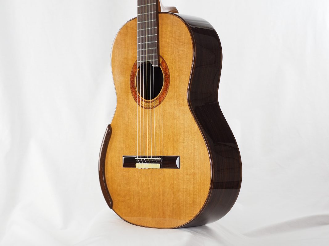 Classical concert guitar