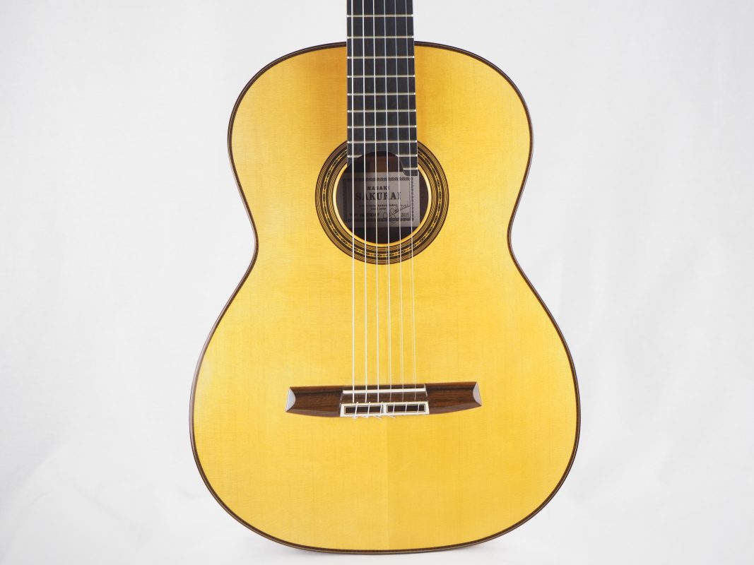 Classical concert guitar