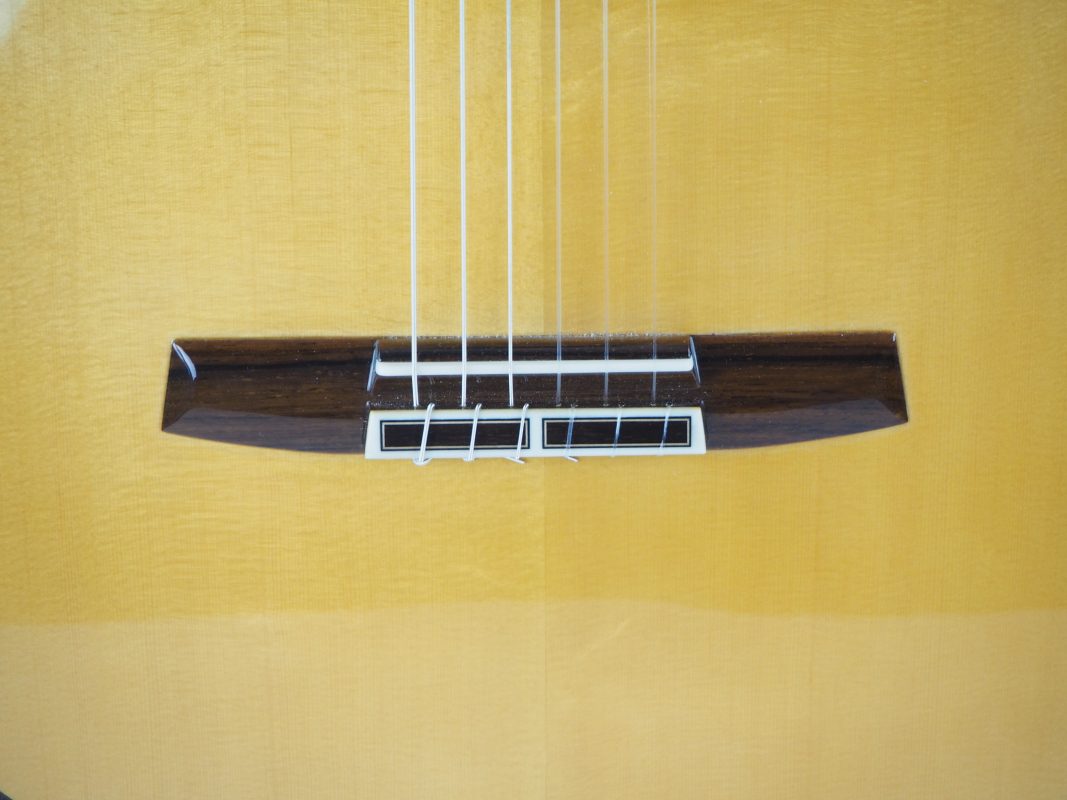 Classical concert guitar