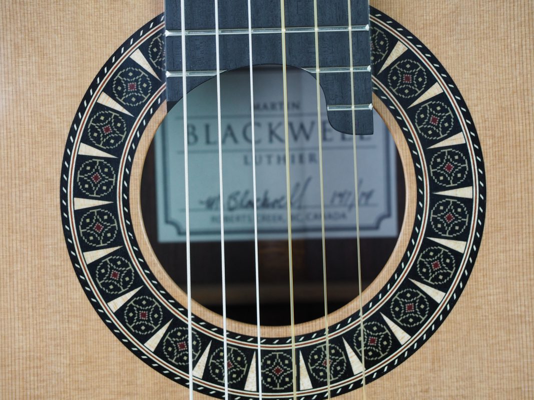 Classical concert guitar