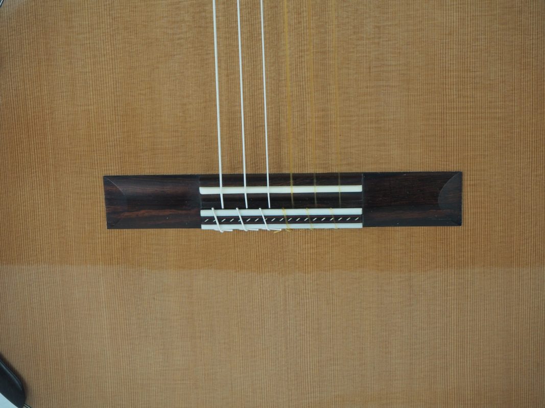 Classical concert guitar