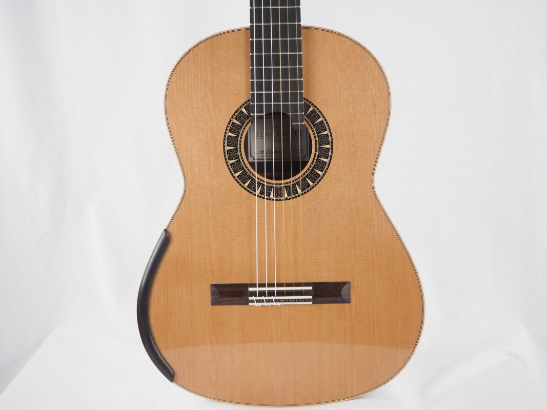 Classical concert guitar