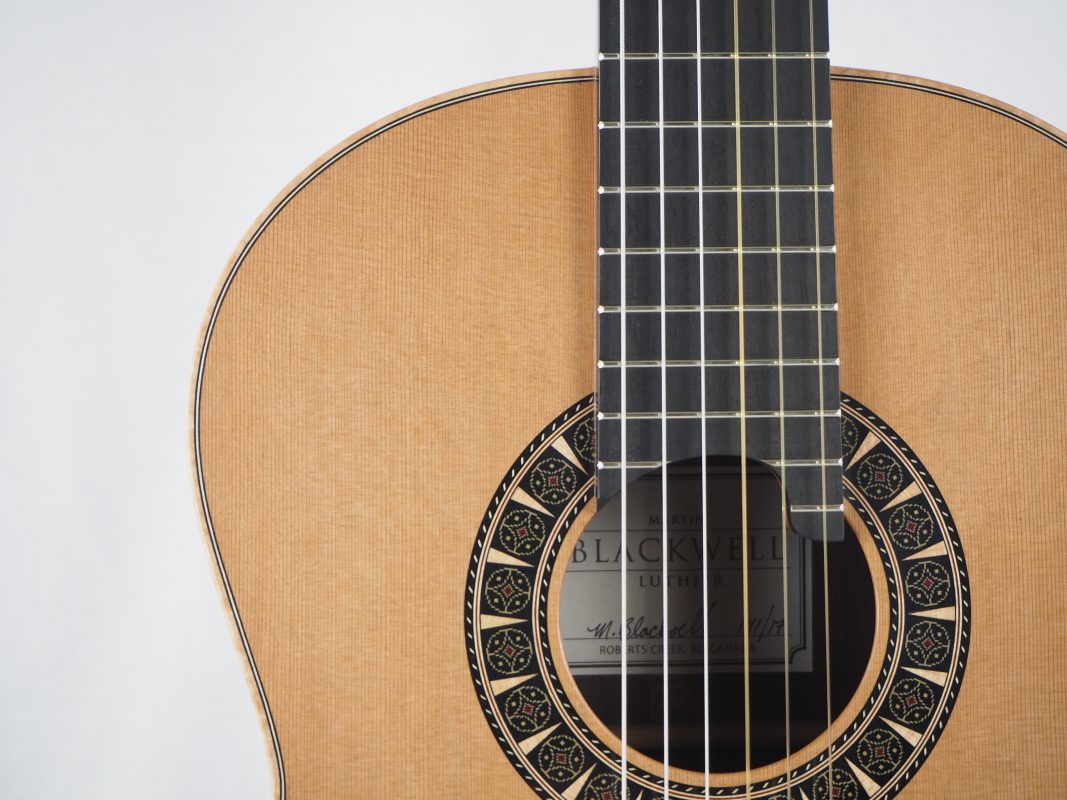 Classical concert guitar