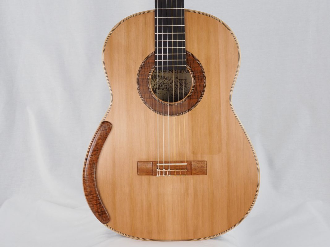 Classical concert guitar