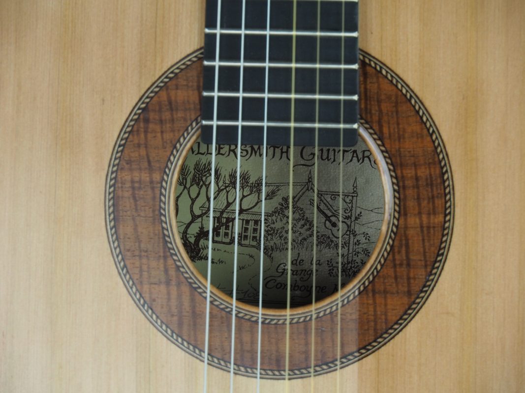 Classical concert guitar