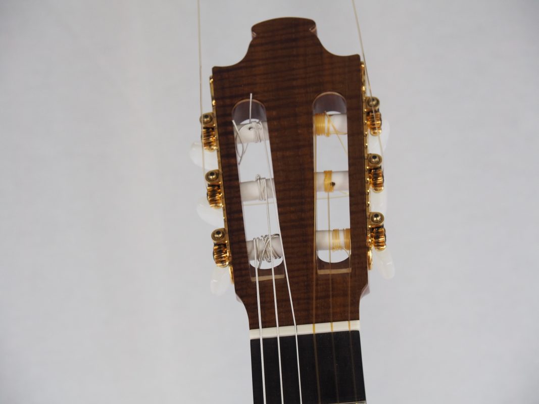 Classical concert guitar