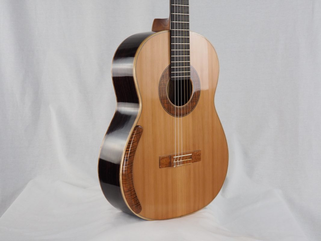 Classical concert guitar