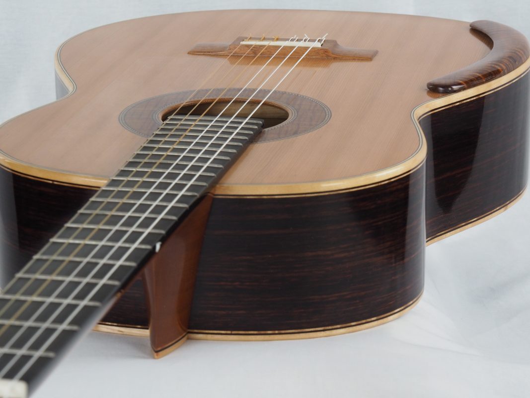 Classical concert guitar