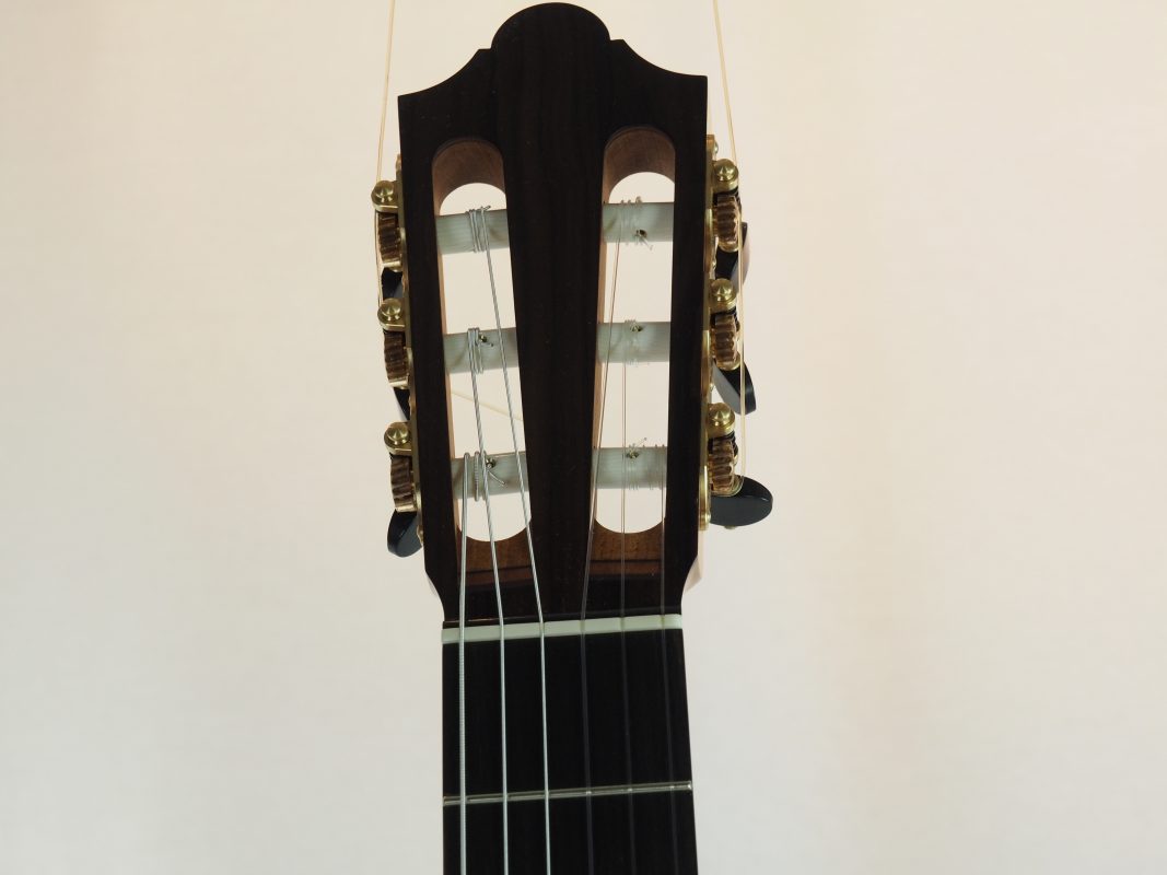 Classical concert guitar