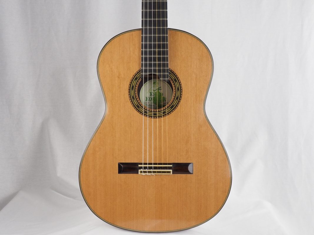 Classical concert guitar