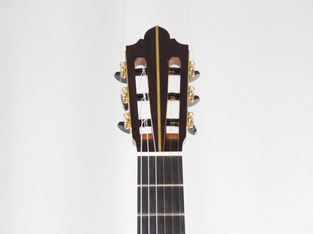 Classical concert guitar