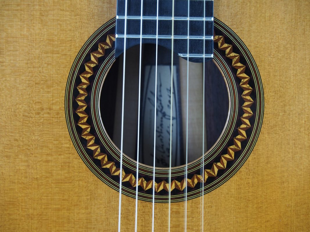 Classical concert guitar