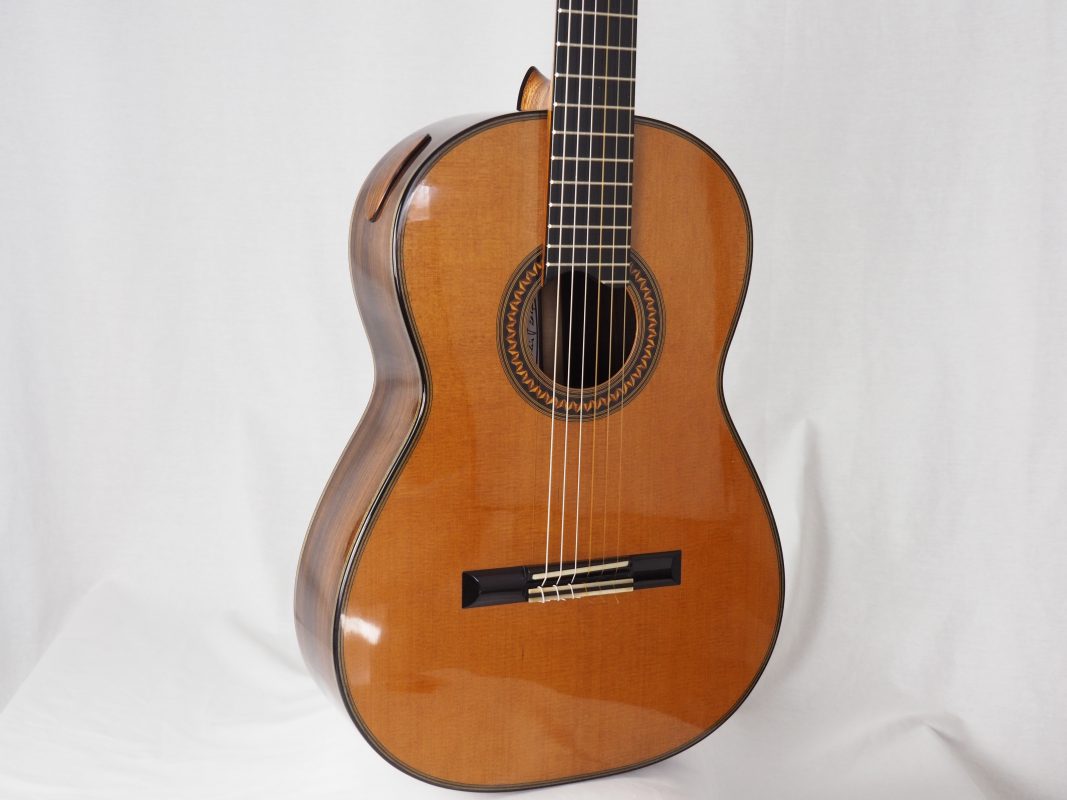 Classical concert guitar