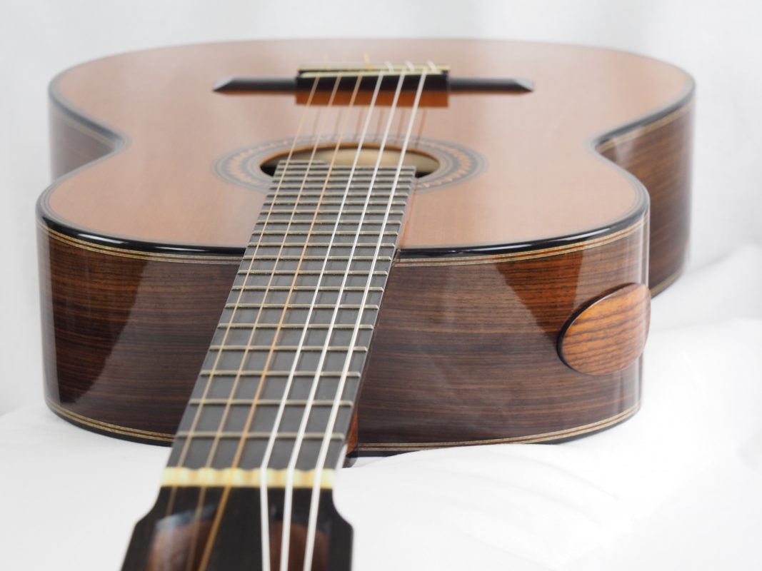 Classical concert guitar